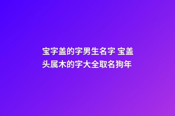 宝字盖的字男生名字 宝盖头属木的字大全取名狗年